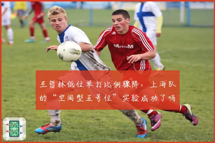 王哲林低位单打比例骤降，上海队的“空间型五号位”实验成功了吗？