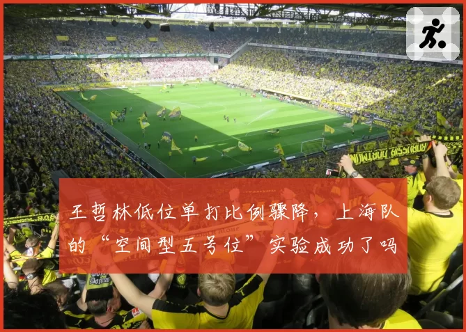 王哲林低位单打比例骤降，上海队的“空间型五号位”实验成功了吗？